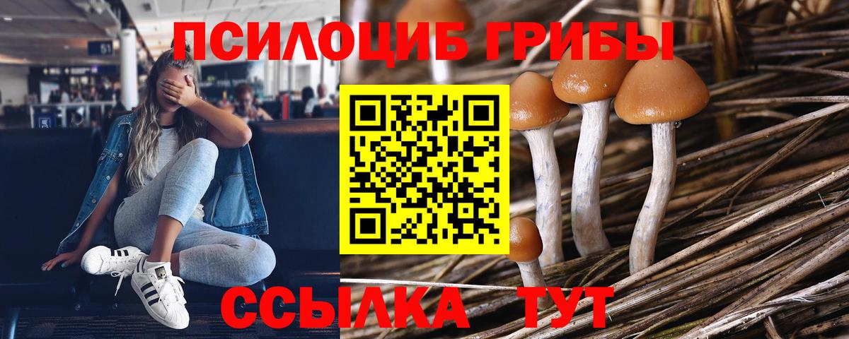 Псилоцибиновые грибы Magic Shrooms  Вход с VPN  Псилоцибиновые грибы Magic Shrooms  Воскресенск 