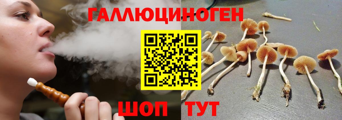 Галлюциногенные грибы прущие грибы Воскресенск